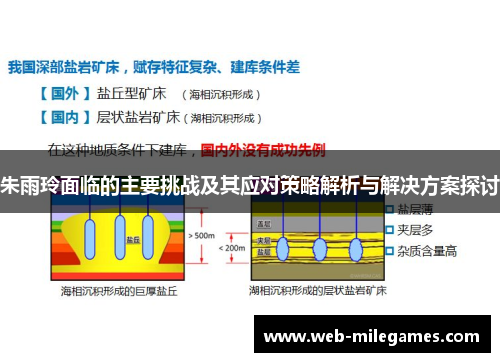 朱雨玲面临的主要挑战及其应对策略解析与解决方案探讨