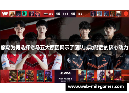 魔鸟为何选择老马五大原因揭示了团队成功背后的核心动力 魔鸟为何选择老马五大原因揭示了团队成功背后的核心动力