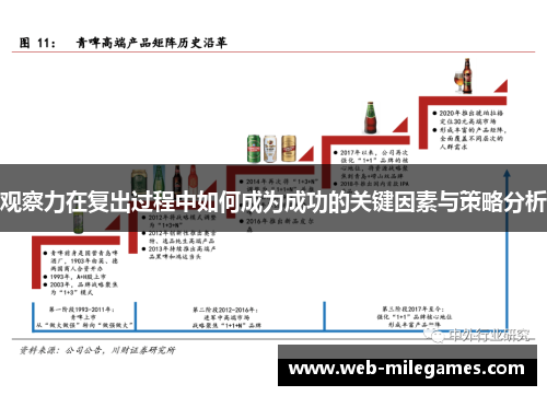 观察力在复出过程中如何成为成功的关键因素与策略分析 观察力在复出过程中如何成为成功的关键因素与策略分析