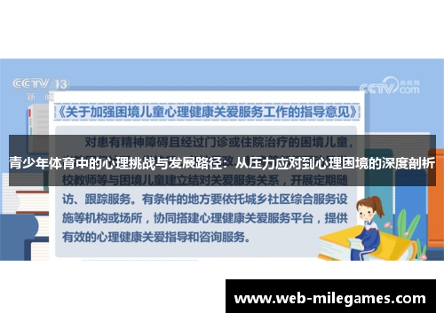 青少年体育中的心理挑战与发展路径：从压力应对到心理困境的深度剖析